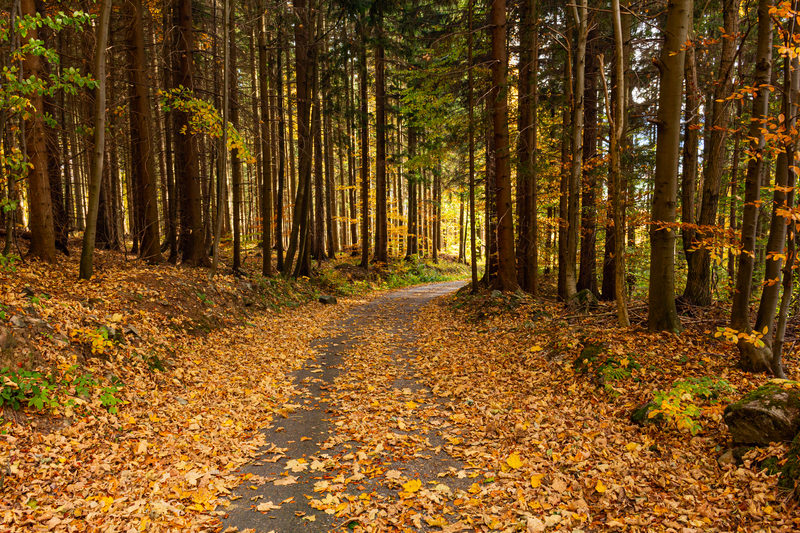 Fall weather arrives this week across New Jersey