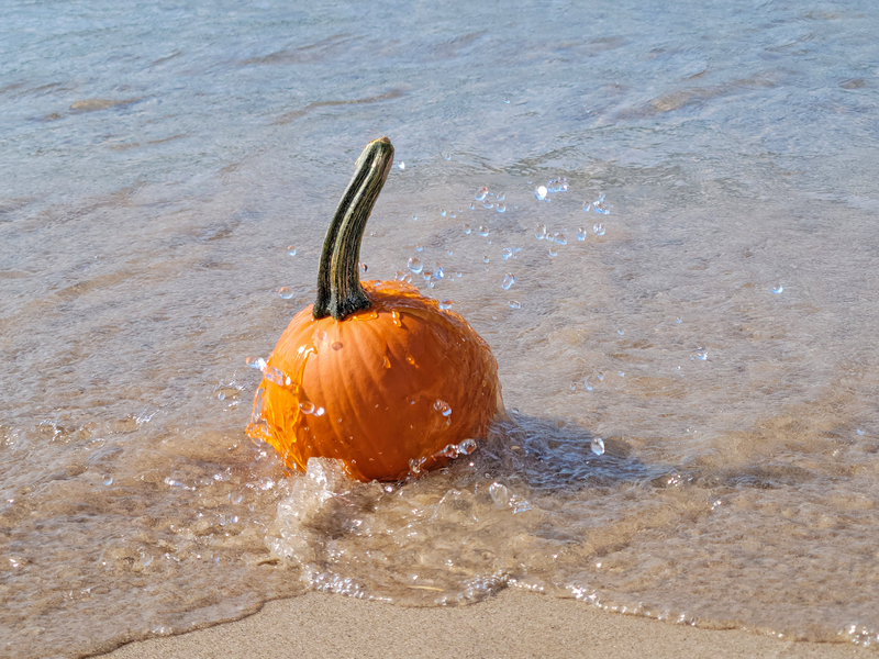Brick Township Fall Fest returns to Windward Beach on October 19