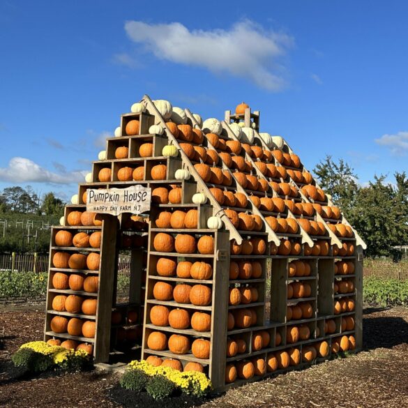 One of new jersey's best fall fun spots is now open - photo licensed by shore news network.