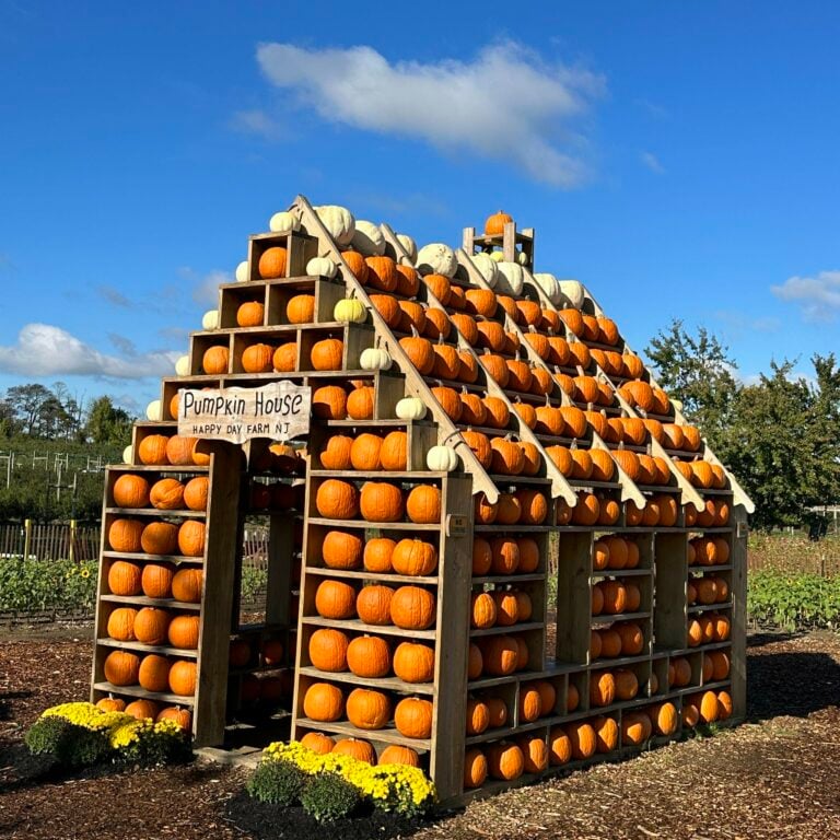 One of New Jersey's Best Fall Fun Spots is Now Open