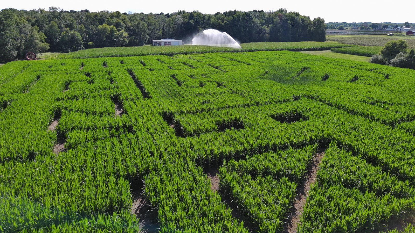 The Red Barn Farm Corn Maze and Pumpkin Patch Offers Fun-Filled Fall Activities