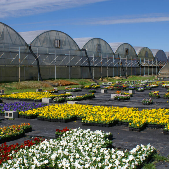Cooler temperatures and chance of rain to highlight this week's new jersey weather outlook - photo licensed by shore news network.