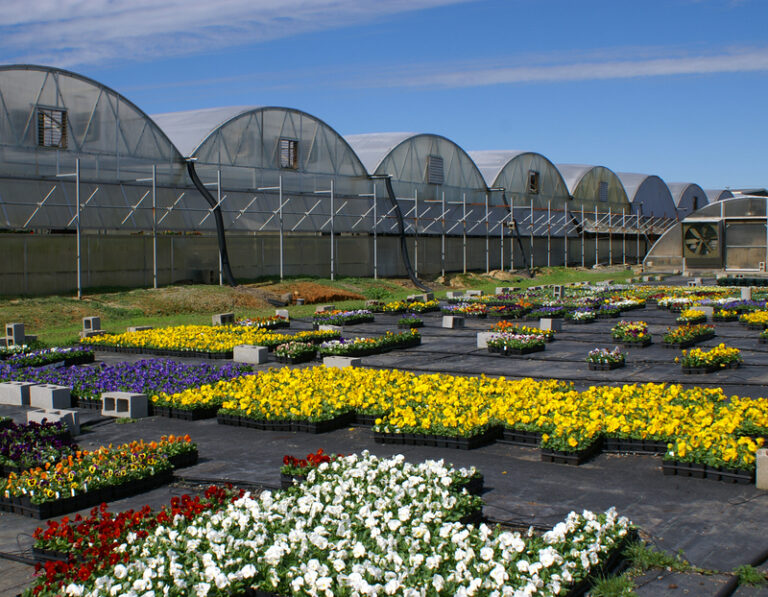 Cooler temperatures and chance of rain to highlight this week's new jersey weather outlook - photo licensed by shore news network.