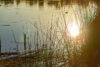 Police investigate drowning death of 4-year-old in monroe township pond