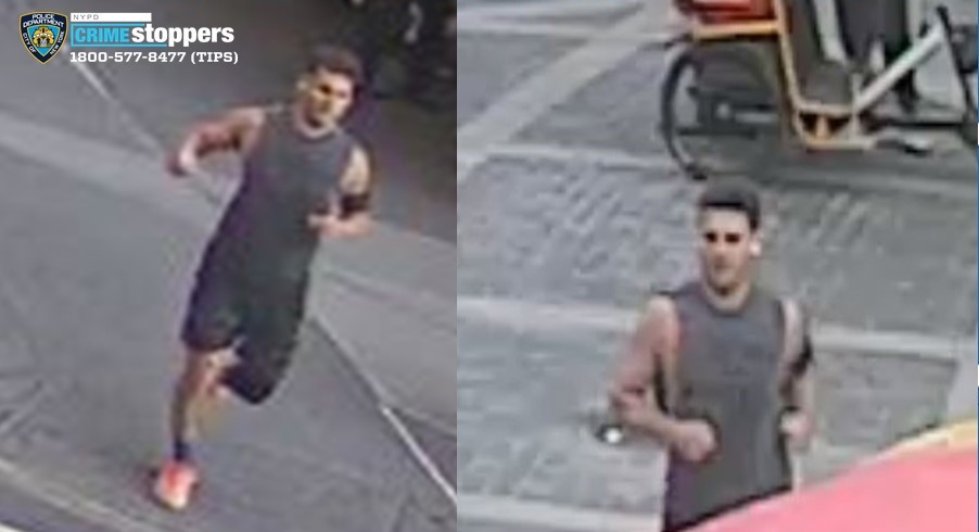 Central Park Attacker Sought by NYPD