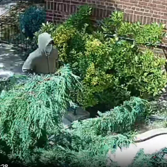 Watch: violent criminals attacking nyc postal workers in multiple heists - photo licensed by shore news network.