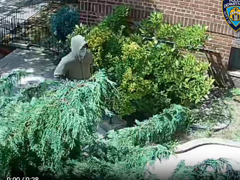 Watch: Violent criminals attacking NYC postal workers in multiple heists