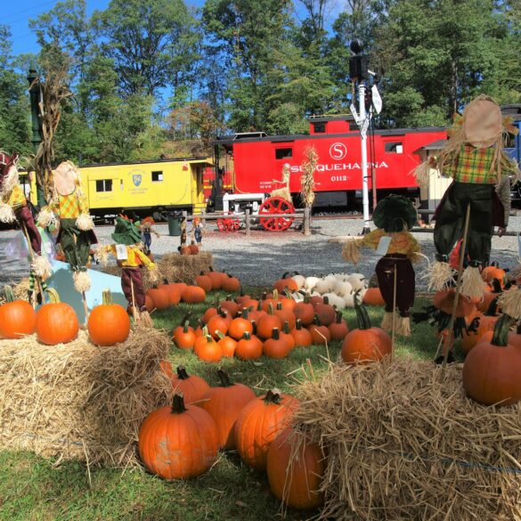 Annual pumpkin patch train brings halloween fun to whippany railway museum - photo licensed by shore news network.