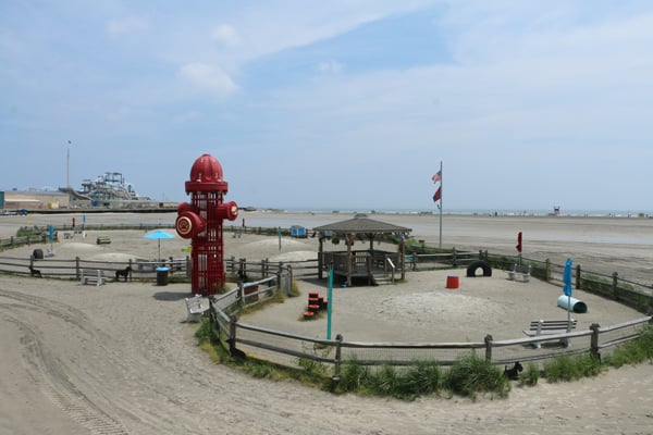 This Giant Jersey Shore Fire Hydrant is Just for Dogs