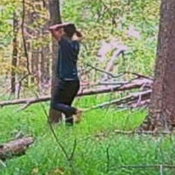 Fugitive wanted for assaul in new york city captured on trail cam in orange county - photo licensed by shore news network.