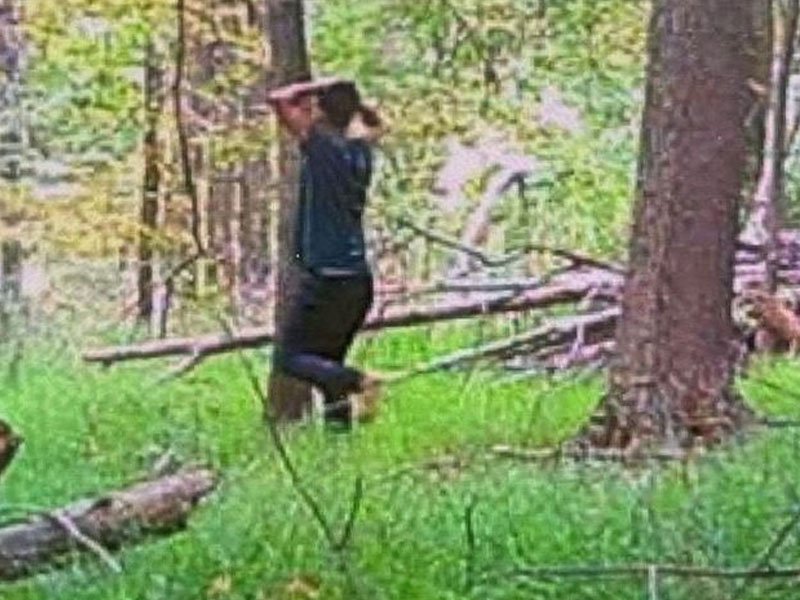 Fugitive Wanted for Assaul in New York City Captured on Trail Cam in Orange County