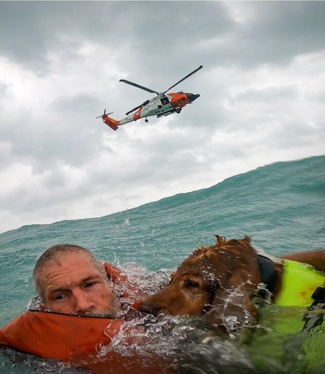 Watch: Dog Lost at Sea During Hurricane Helene Rescued by the U.S. Coast Guard
