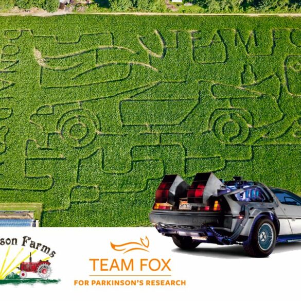 Donaldson farms fall festival features corn maze for a cause - photo licensed by shore news network.