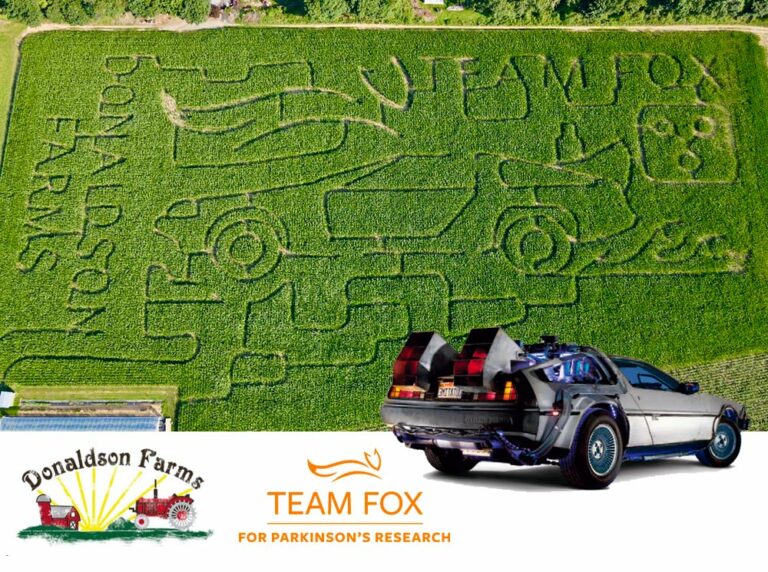 Donaldson farms fall festival features corn maze for a cause - photo licensed by shore news network.