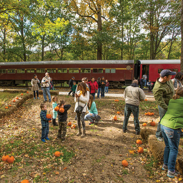 Dino days train ride offers jurassic adventure for families - photo licensed by shore news network.