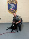 Holmdel police seek owner of found dog