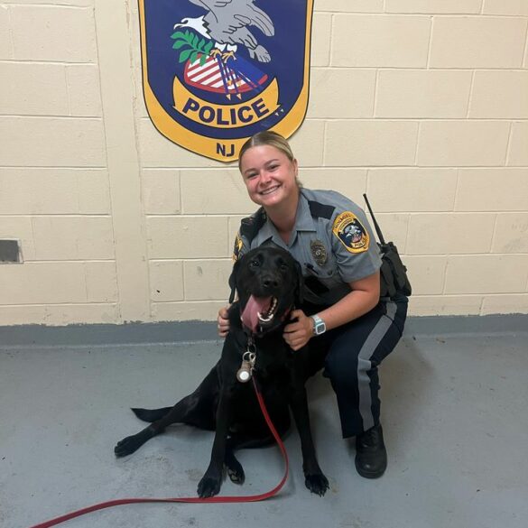 Holmdel police seek owner of found dog - photo licensed by shore news network.