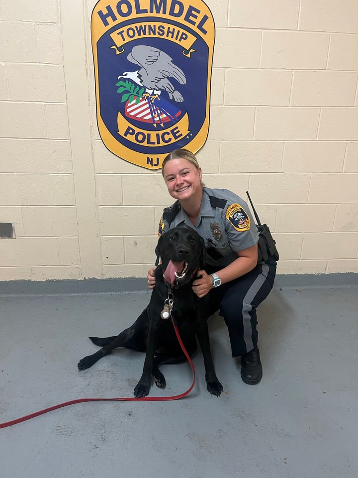 Holmdel police seek owner of found dog
