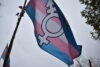 Transgender flag
