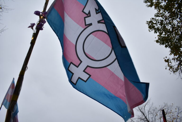 Transgender flag