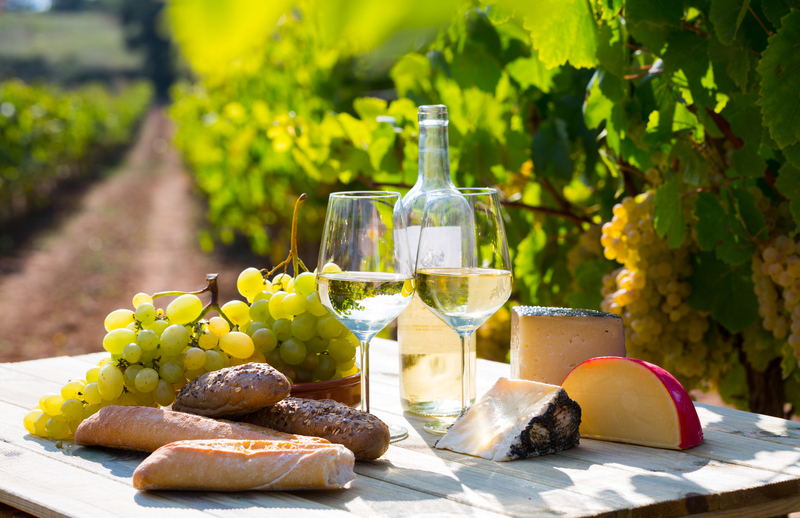 Our Favorite New Jersey Vineyards in No Particular Order