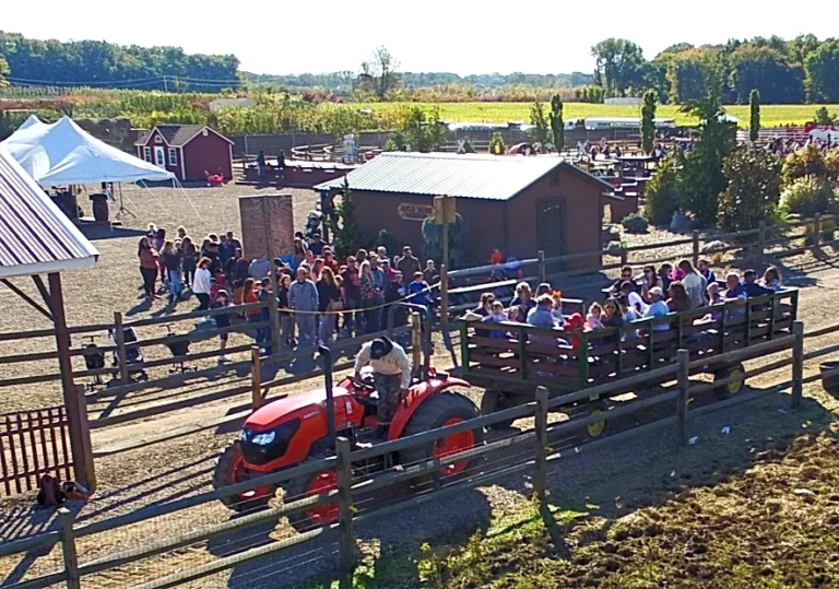 Maple leaf farms fall festival brings bull riding, music, and family fun - photo licensed by shore news network.