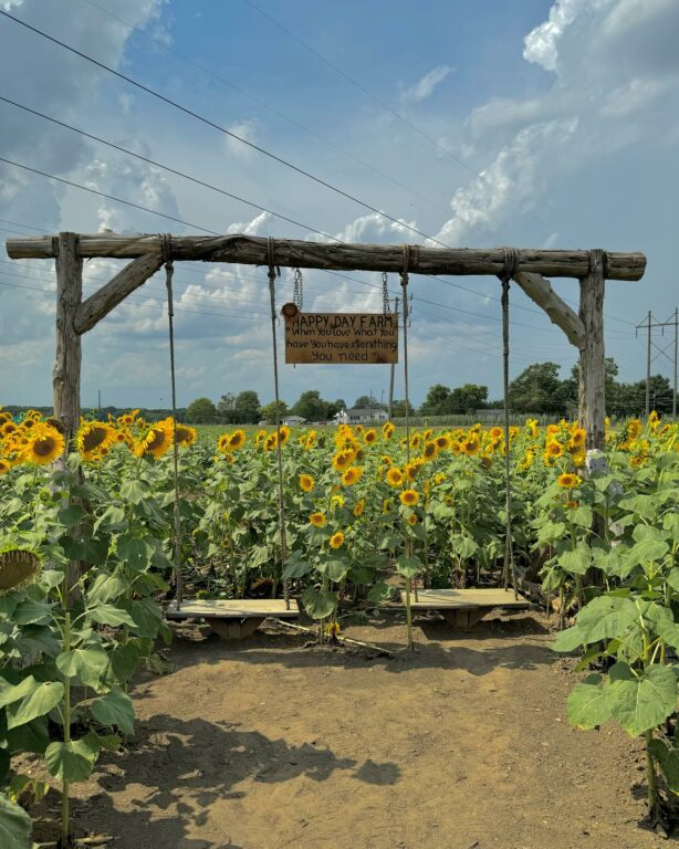 One of New Jersey's Best Fall Fun Spots is Now Open