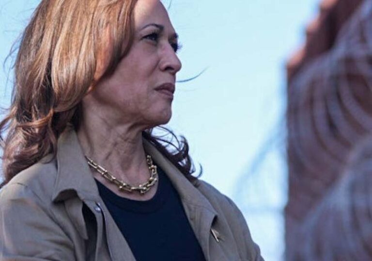 Democratic strategist urges kamala harris to abandon future presidential bids - photo licensed by shore news network.