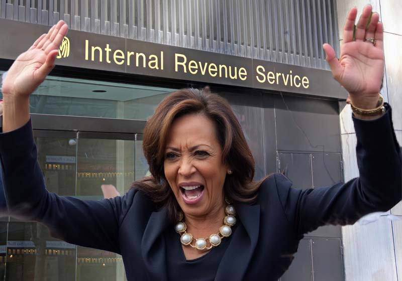 The IRS Endorses Kamala Harris for President, Thanks V.P. for All She Has Done