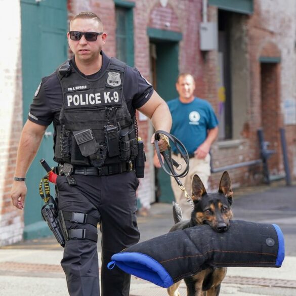 Carnival for canines raises funds for rockland police k9s - photo licensed by shore news network.