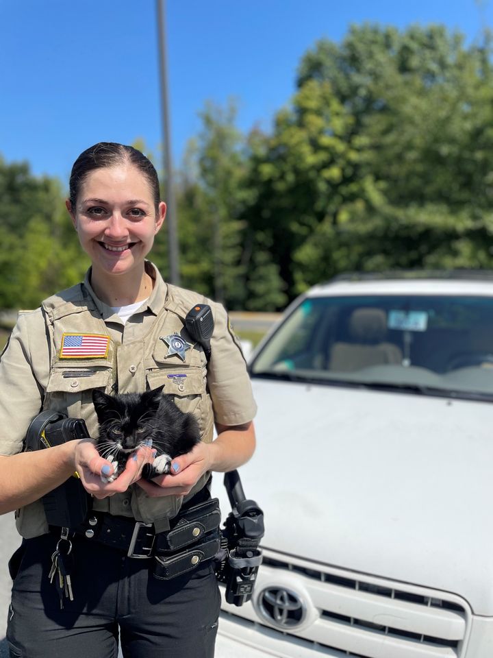 Kitten Survives Trip to 7-Eleven in Engine Compartment