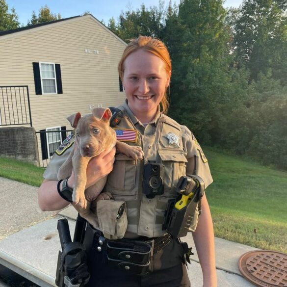 Stafford county deputy rescues puppy from storm drain - photo licensed by shore news network.