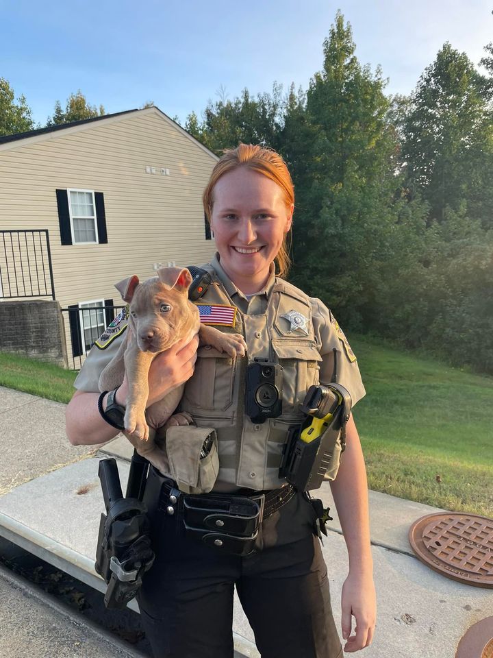 Stafford County deputy rescues puppy from storm drain