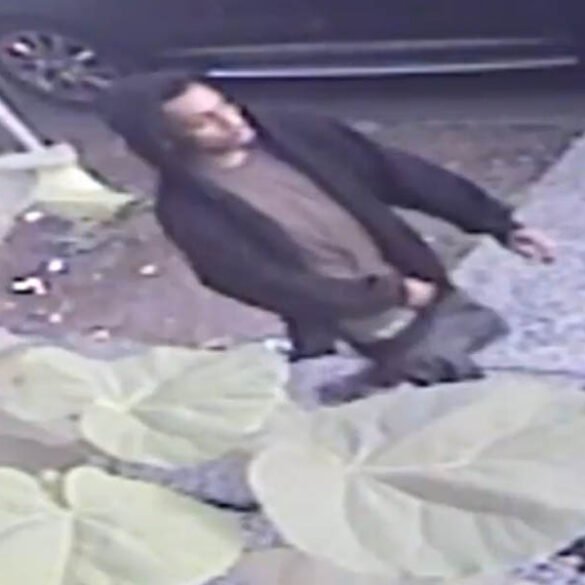Rape suspect who targeted elderly woman at large in brooklyn - photo licensed by shore news network.