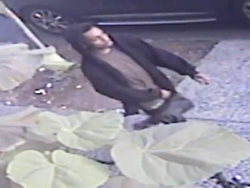 Rape Suspect Who Targeted Elderly Woman At Large in Brooklyn