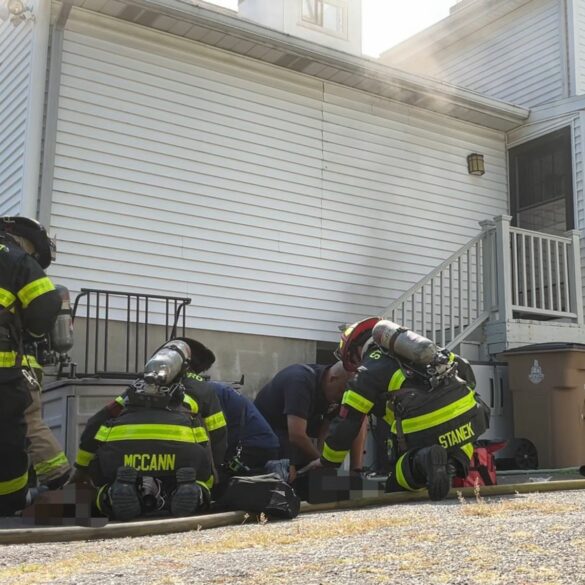 Stamford firefighters rescue multiple pets from house fire - photo licensed by shore news network.