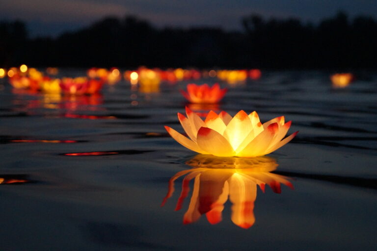 Water lantern festival to light up liberty state park with hope and reflection - photo licensed by shore news network.