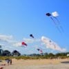 Wind & sea festival to bring water-themed fun to bayshore waterfront park