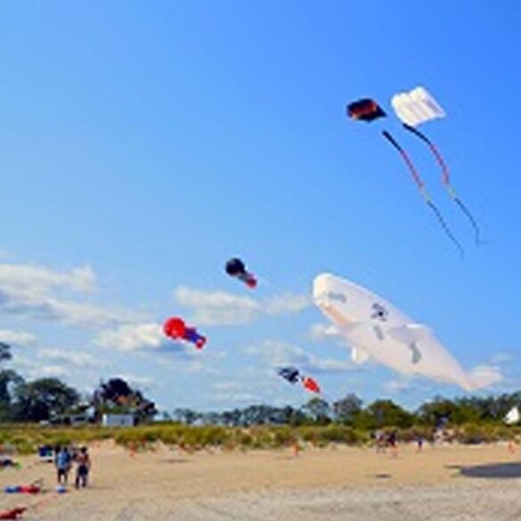Wind & sea festival to bring water-themed fun to bayshore waterfront park - photo licensed by shore news network.