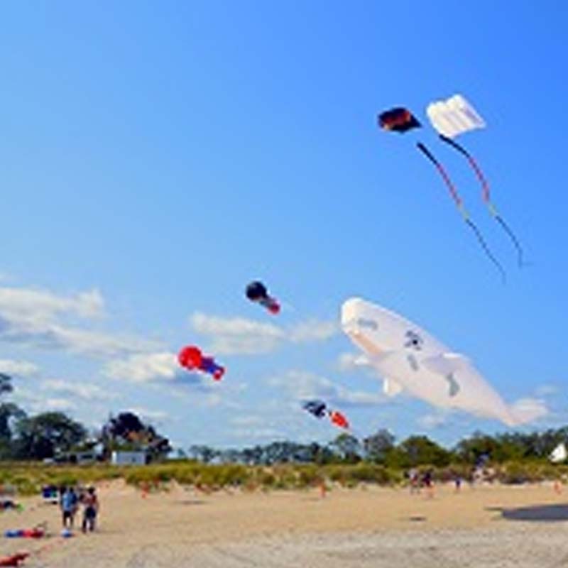 Wind & Sea Festival to Bring Water-Themed Fun to Bayshore Waterfront Park