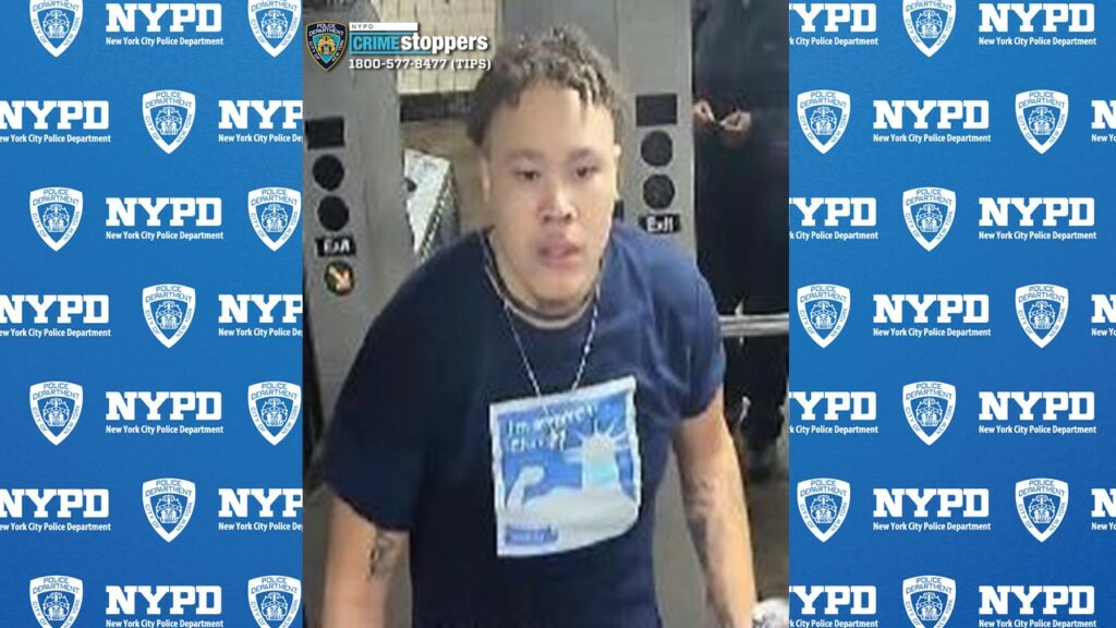64-year-old woman accosted on NYC subway train 64-year-old woman accosted on NYC subway train