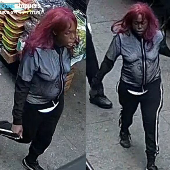 Woman robs 7-year-old boy, beats mother at bronx store - photo licensed by shore news network.
