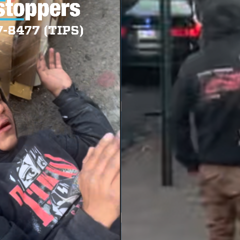 Nypd seeks suspect in forcible touching incident in the bronx - photo licensed by shore news network.