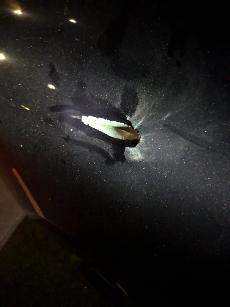 Stafford county deputies continue to investigate shooting on warrenton road - photo licensed by shore news network.