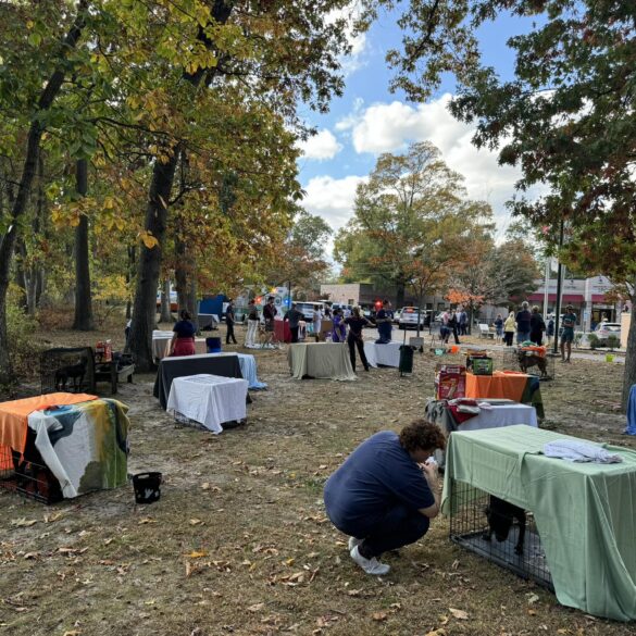 Fire forces evacuation at monmouth county animal shelter - photo licensed by shore news network.