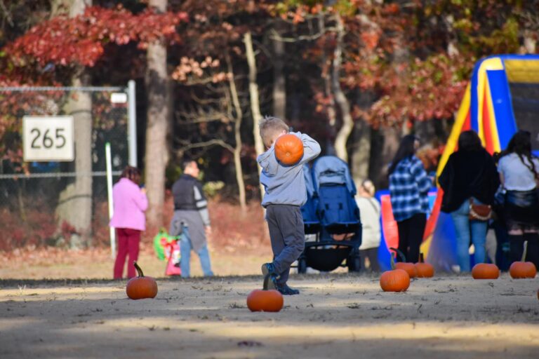 Toms river celebrates fall festival with community festivities and local vendors - photo licensed by shore news network.