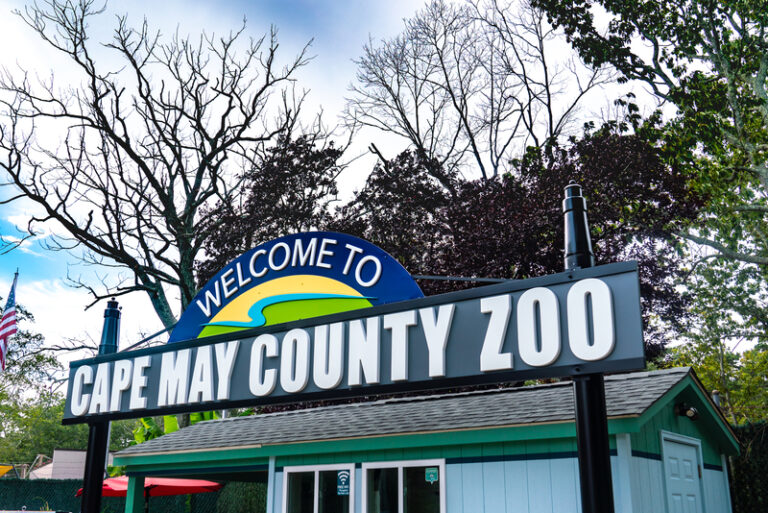 Cape may zoo hosts annual “boo at the zoo” event for family fun - photo licensed by shore news network.