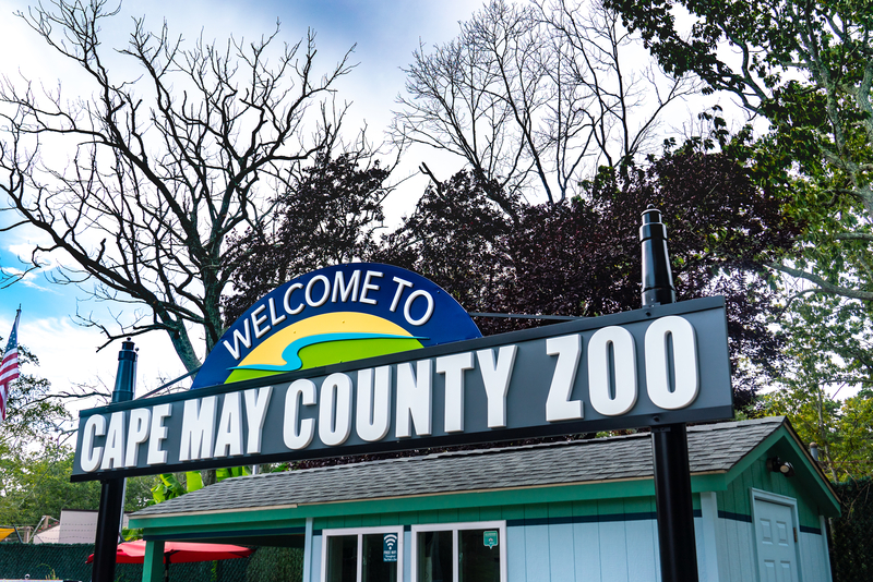 Cape May Zoo Hosts Annual “Boo at the Zoo” Event for Family Fun