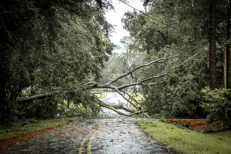 Volunteer Group Provides Aid for Tree Removal and Repairs in Hendersonvill