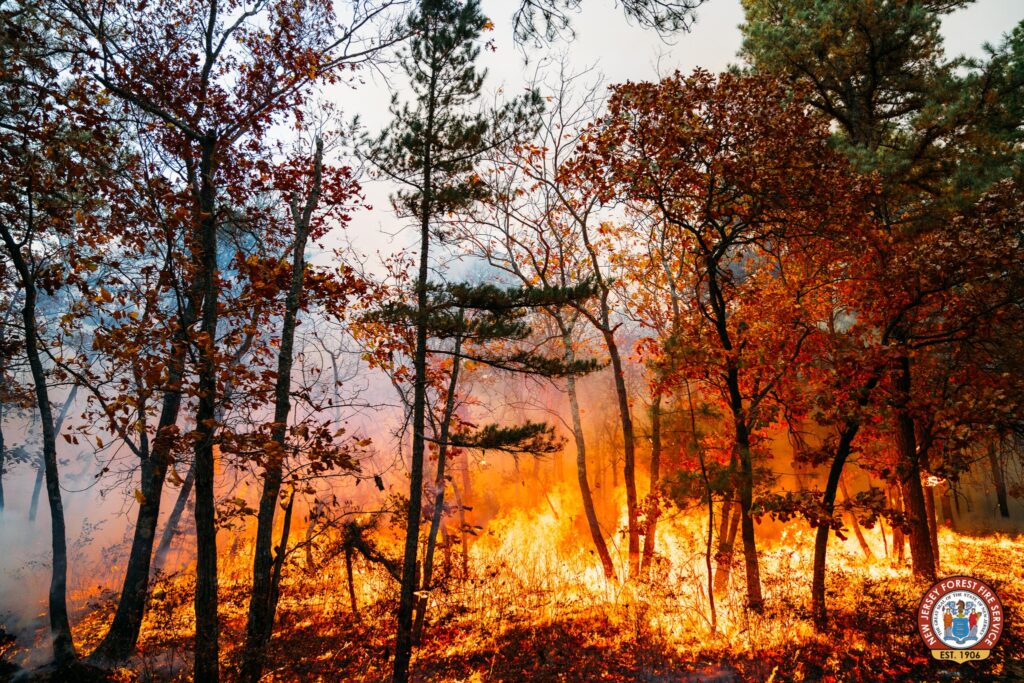 40 Acre Wildfire in Evesham Township 90% Contained 40 Acre Wildfire in Evesham Township 90% Contained